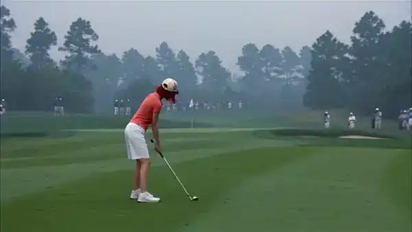 sunlit green course landscape