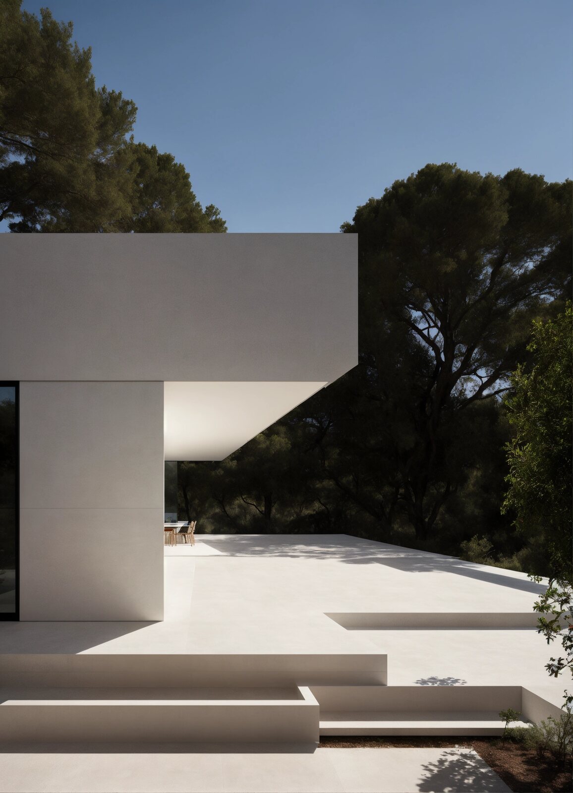 minimal modern house in pine forest